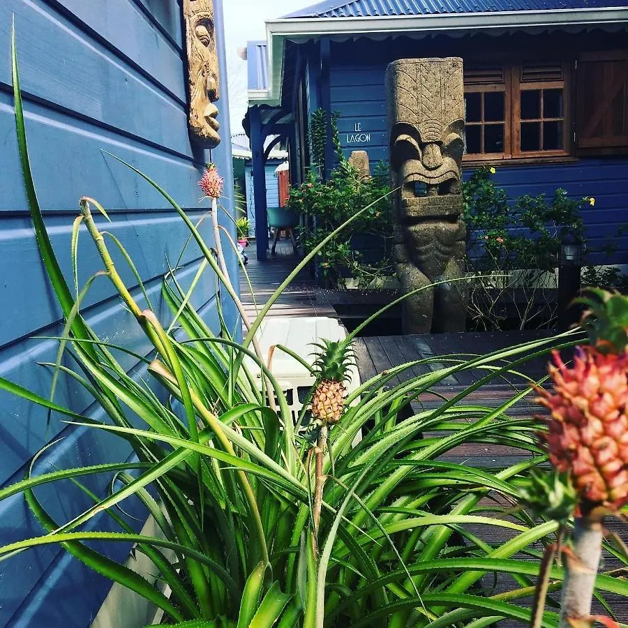 Tiki Paradise Lodge Fwi 圣安尼